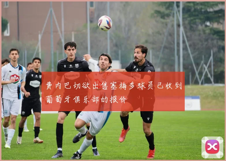 费内巴切欲出售塞梅多球员已收到葡萄牙俱乐部的报价